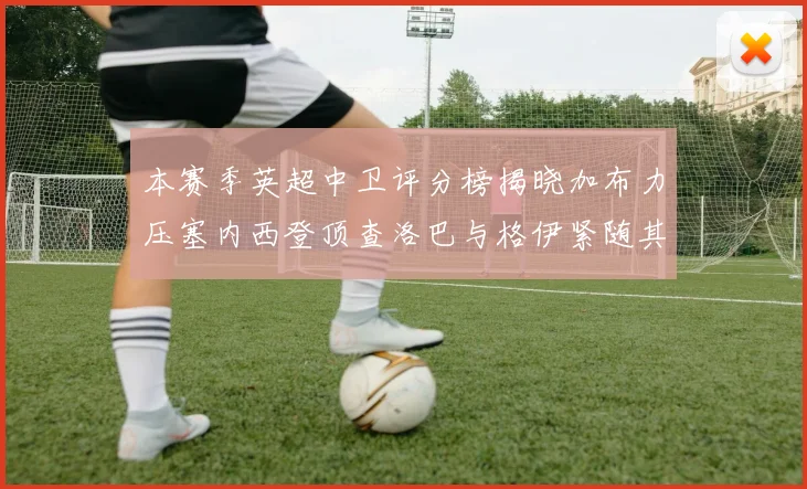 本赛季英超中卫评分榜揭晓加布力压塞内西登顶查洛巴与格伊紧随其后