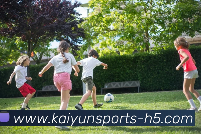 开云体育服务体系