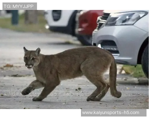 奥斯卡回忆疫情期间差点加盟巴萨愿意低薪为球队效力六个月